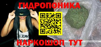соль ск Краснодар