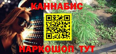 гидра Краснознаменск