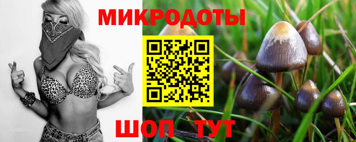 Донской  Галлюциногенные грибы прущие грибы  Вход с VPN 